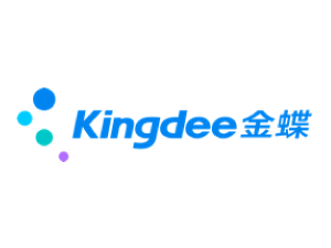e_kingdee