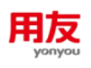 e_yonyou